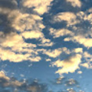 Meet your Posher, Katy